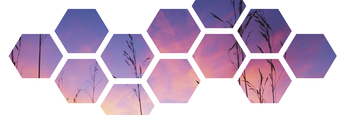 Hexagon Overlay